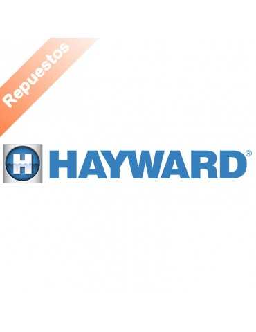 Repuestos Hayward